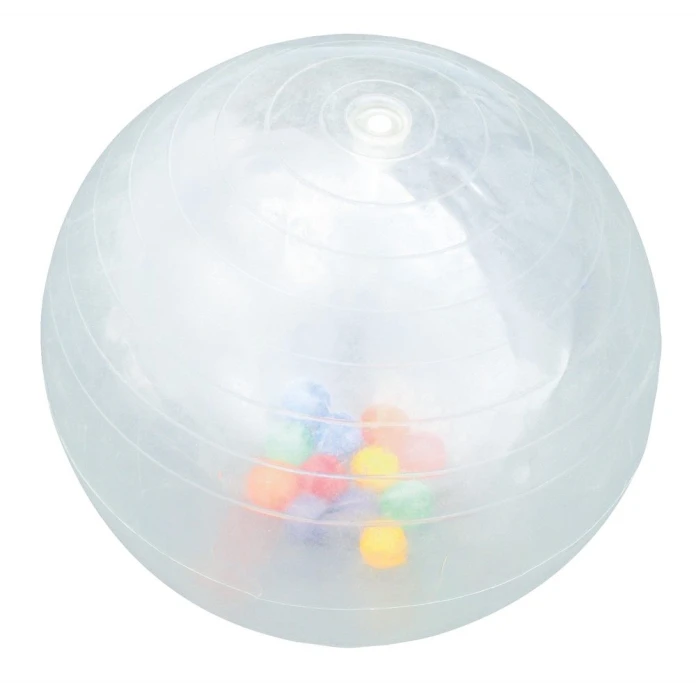 Balón de actividad transparente 50 cm