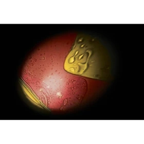 Proyector del espacio