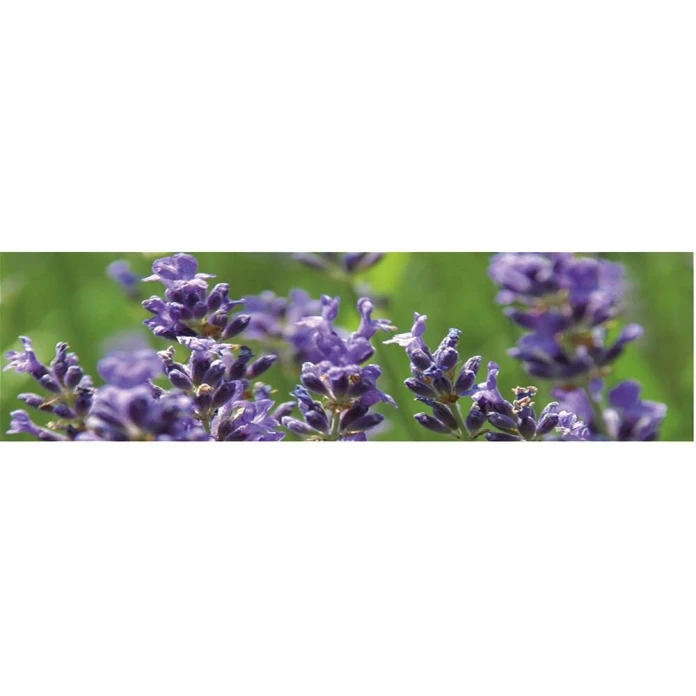 Coussin aromatique
