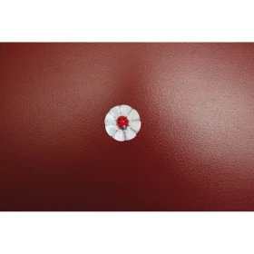 Flores de soplo