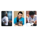 Oficios - imagier webber