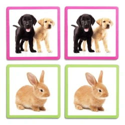 Maxi-memo de los animales