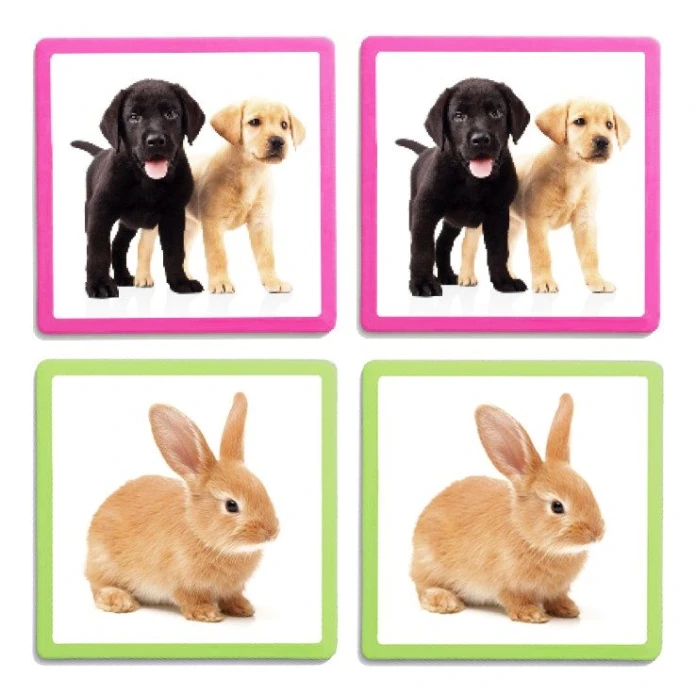 Maxi-memo de los animales