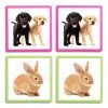 Maxi-memo de los animales