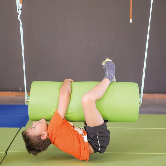 Rodillo vestibular