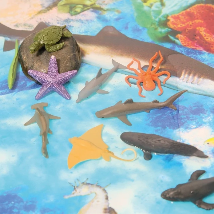 Figuras alrededor del océano