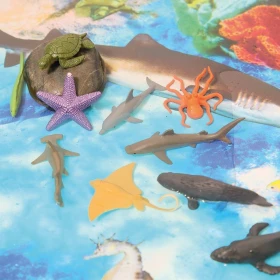 Figuras alrededor del océano
