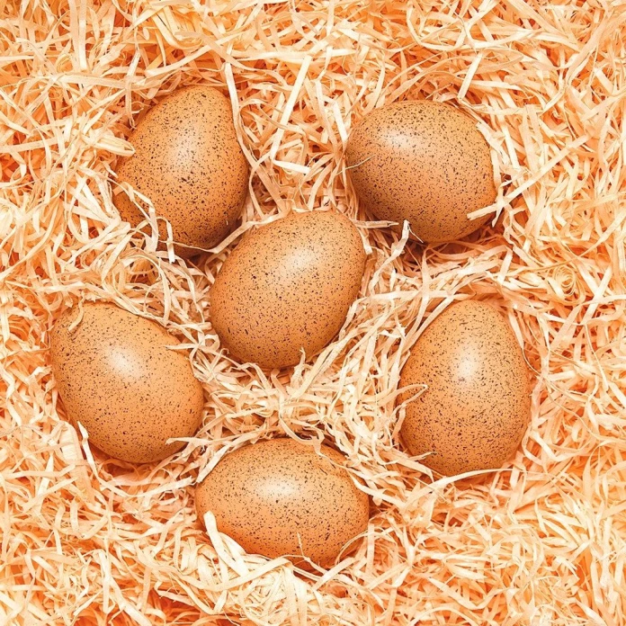 Huevos sonoros de 6