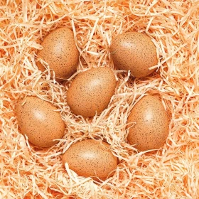 Huevos sonoros de 6