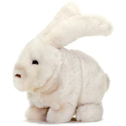 Conejo animado - adaptable