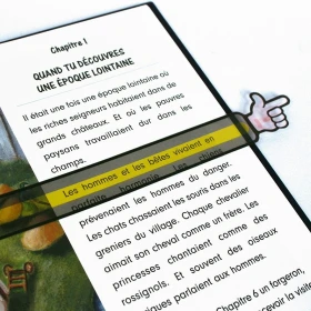 Punteros fluorescentes pack de 12
