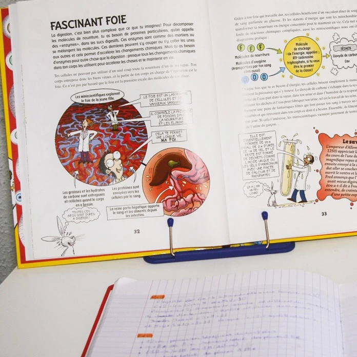 Soporte de libro portátil