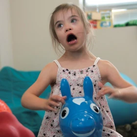 PEQUEÑO RODY CABALLO SALTARÍN