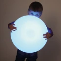 La piedra luminosa