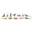 Figuritas Galápagos