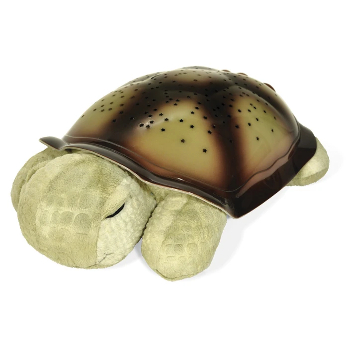Tortuga proyector