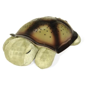 Tortuga proyector