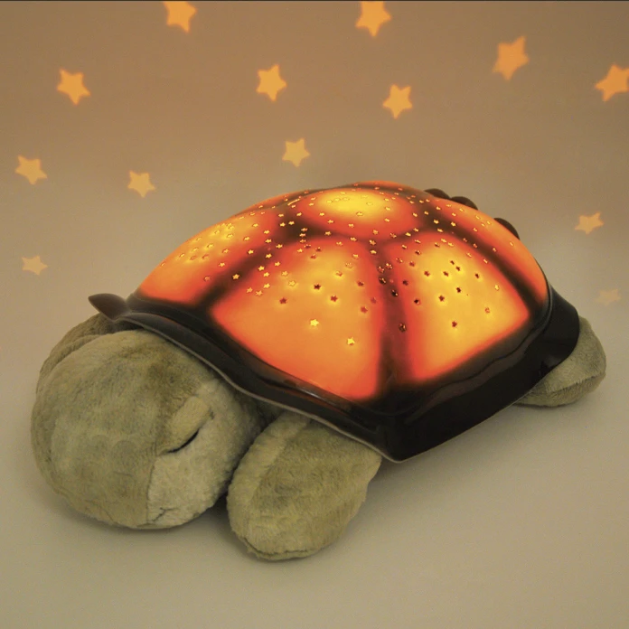 Tortuga proyector