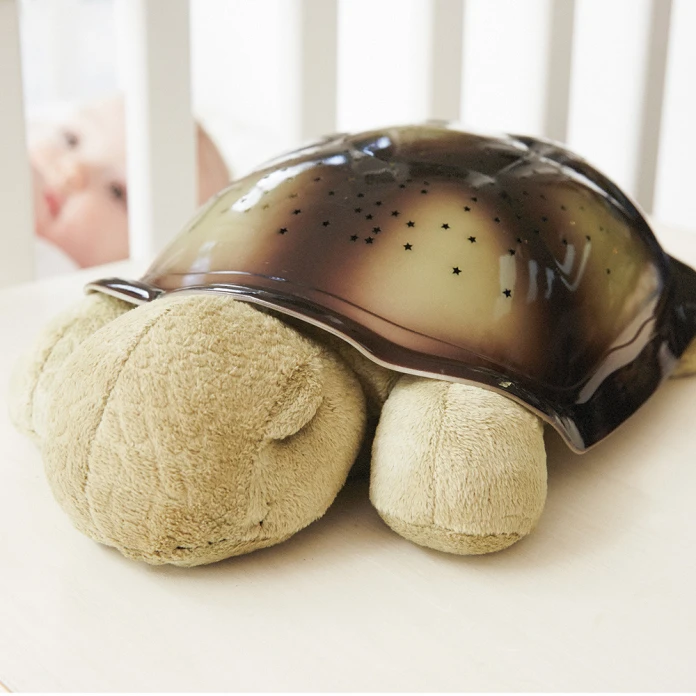 Tortuga proyector