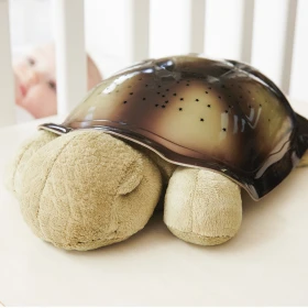 Tortuga proyector