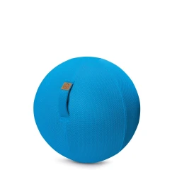 Pelota de asiento con red 55 cm