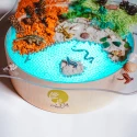 Bandeja de exploración Magic Light - traslúcida