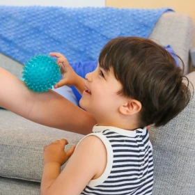Pelota erizo