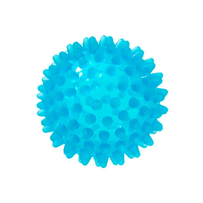 Pelota erizo