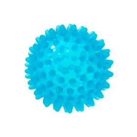 Pelota erizo