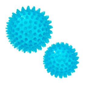 Pelota erizo