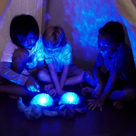 Luz quitamiedos tortuga marina - Recargable