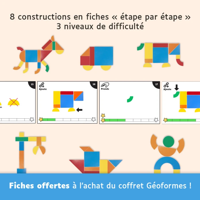 Estuche de geoformas