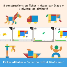 Estuche de geoformas
