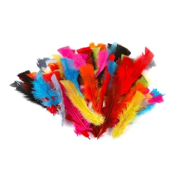 Bolsa de plumas de colores