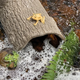 Decorados tronco de árbol pequeño