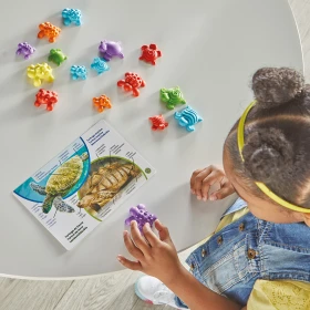 Kit de actividades matemáticas las tortugas táctiles