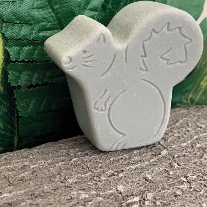 Piedras decorativas sotobosque