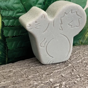 Piedras decorativas sotobosque