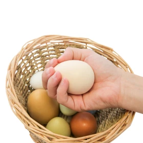 Huevos sensoriales (pack de 8)