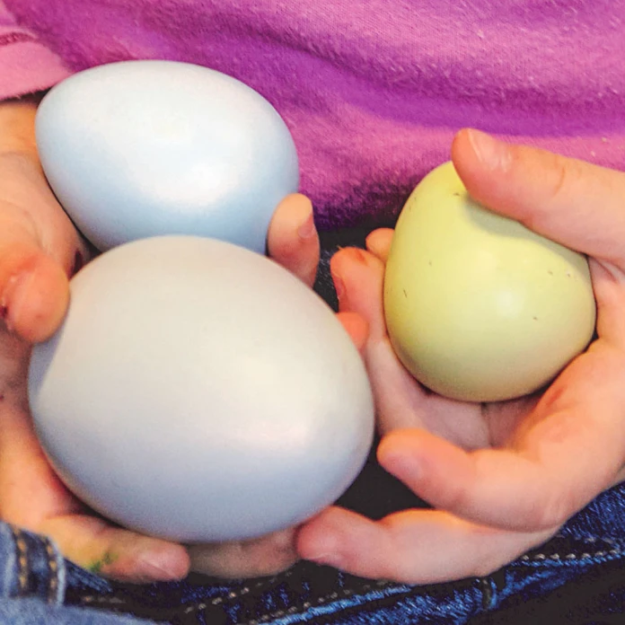 Huevos sensoriales (pack de 8)