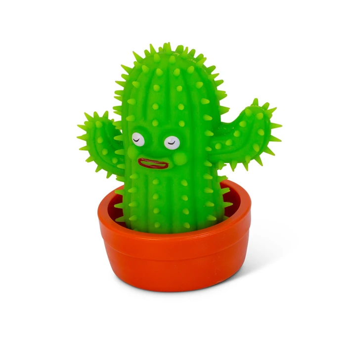 Fidget stretchie cactus