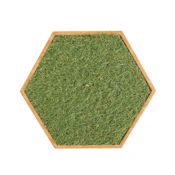 Panel sensorial hexagonal - hierba suave
