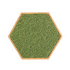 Panneau sensoriel hexagonal - haricots