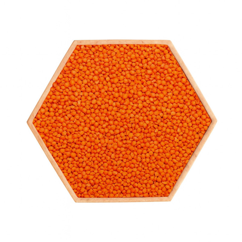 Panneau sensoriel hexagonal - haricots