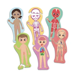 Maxi-puzzles descubre e identifica el cuerpo humano