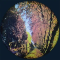 Discos temáticos proyectores opti - Bosque