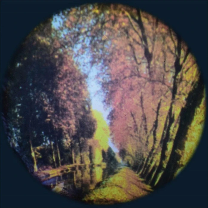Discos temáticos proyectores opti - Bosque
