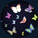Discos temáticos proyectores Opti - mariposas multicolores
