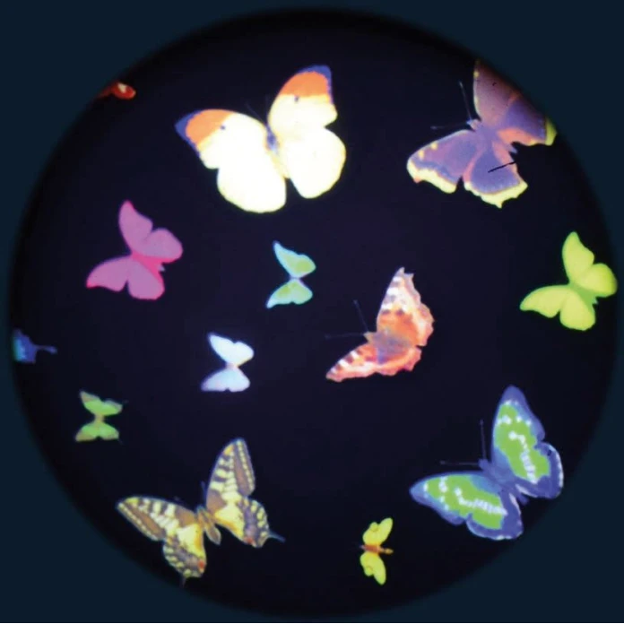 Discos temáticos para proyectores Opti - Mariposas multicolores