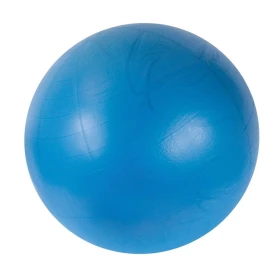 Pelota Bodyball - 65 cm